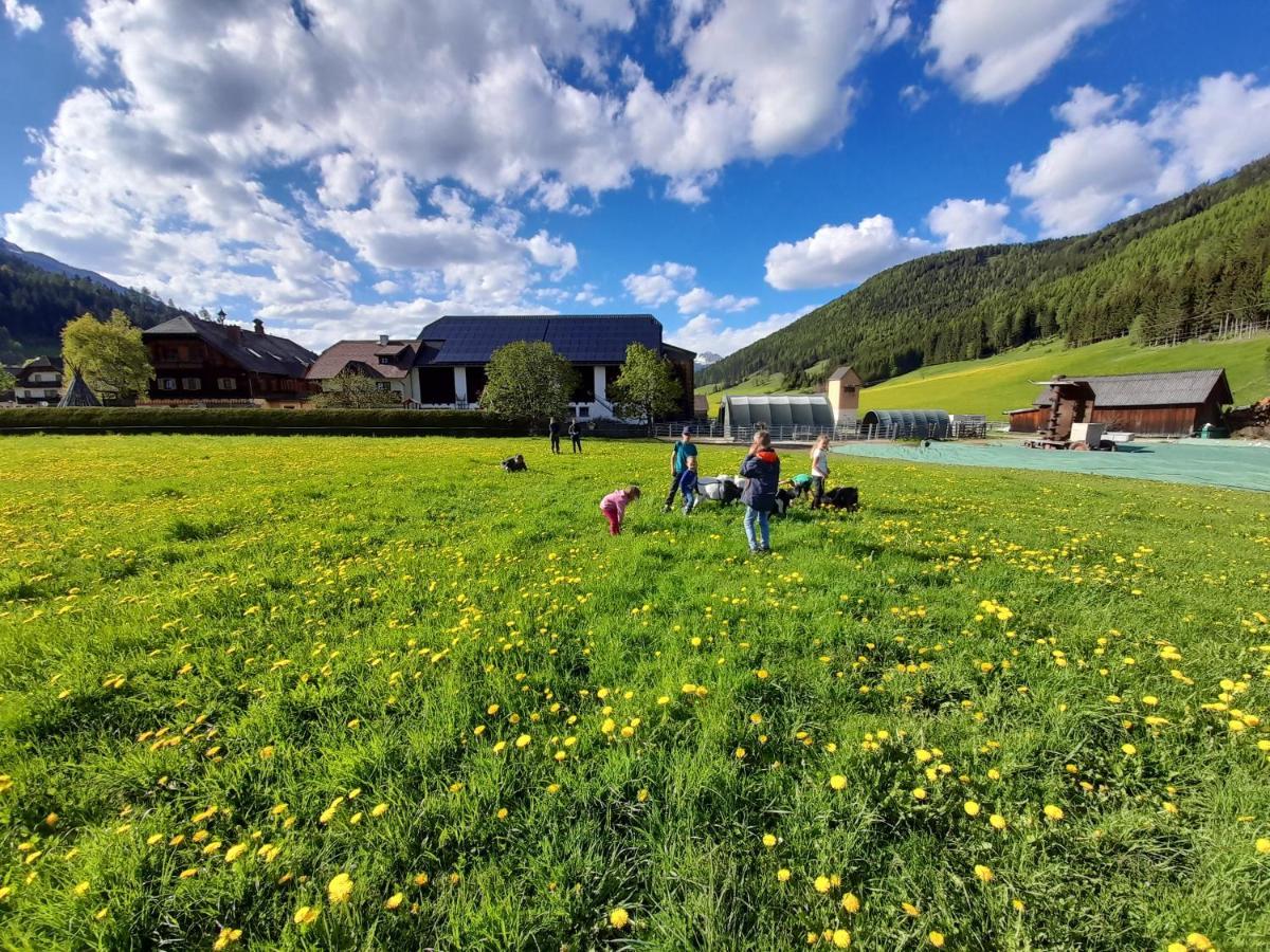Sonnenchalet Neusess Mauterndorf  Luaran gambar